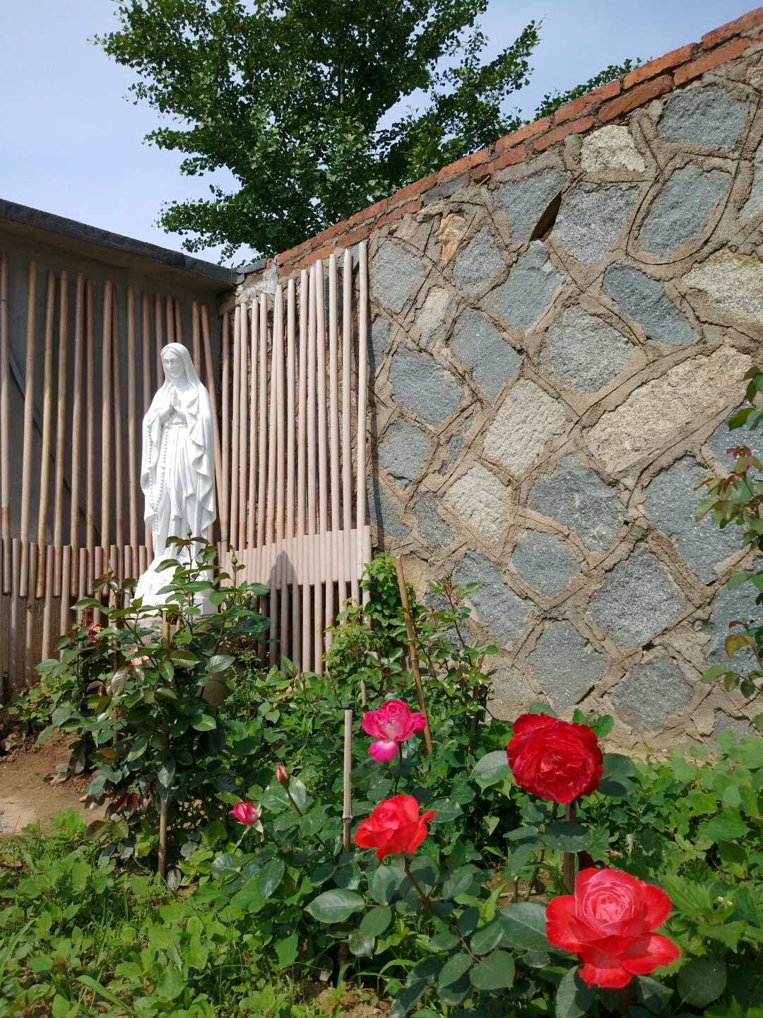 ae4848c909623221102e0a6f7e5fab0d_1561014815_0036.jpg ae4848c909623221102e0a6f7e5fab0d_1561014815_0036.jpg