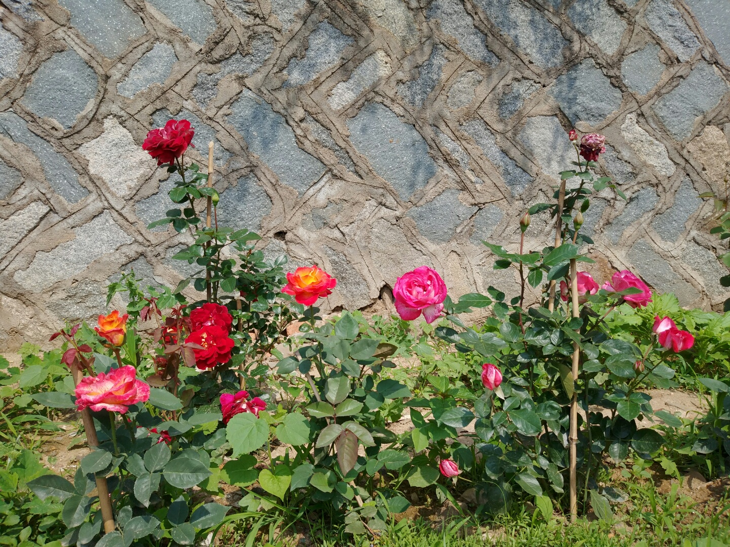 ae4848c909623221102e0a6f7e5fab0d_1561014841_6173.jpg ae4848c909623221102e0a6f7e5fab0d_1561014841_6173.jpg