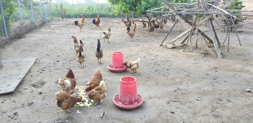 ae4848c909623221102e0a6f7e5fab0d_1561016887_4853.jpg ae4848c909623221102e0a6f7e5fab0d_1561016887_4853.jpg