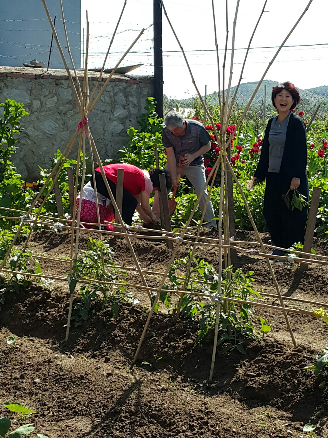 ae4848c909623221102e0a6f7e5fab0d_1561016897_2502.jpg ae4848c909623221102e0a6f7e5fab0d_1561016897_2502.jpg